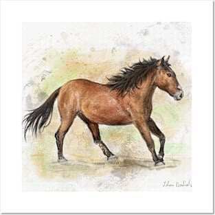 Painting of a Gorgeous Brown Mustang Horse Running Posters and Art